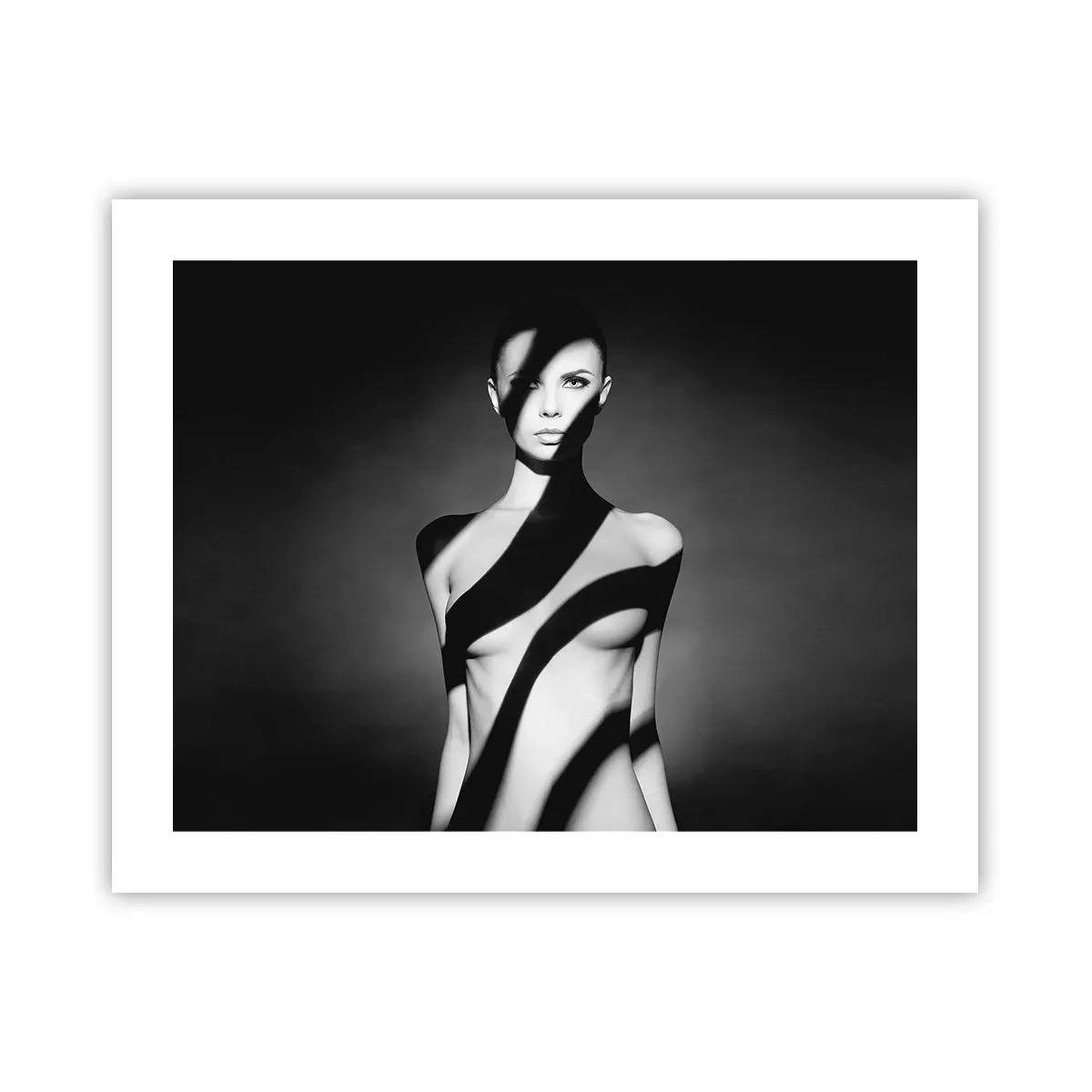 Plakat - I blænding og skygge - 50x40 cm