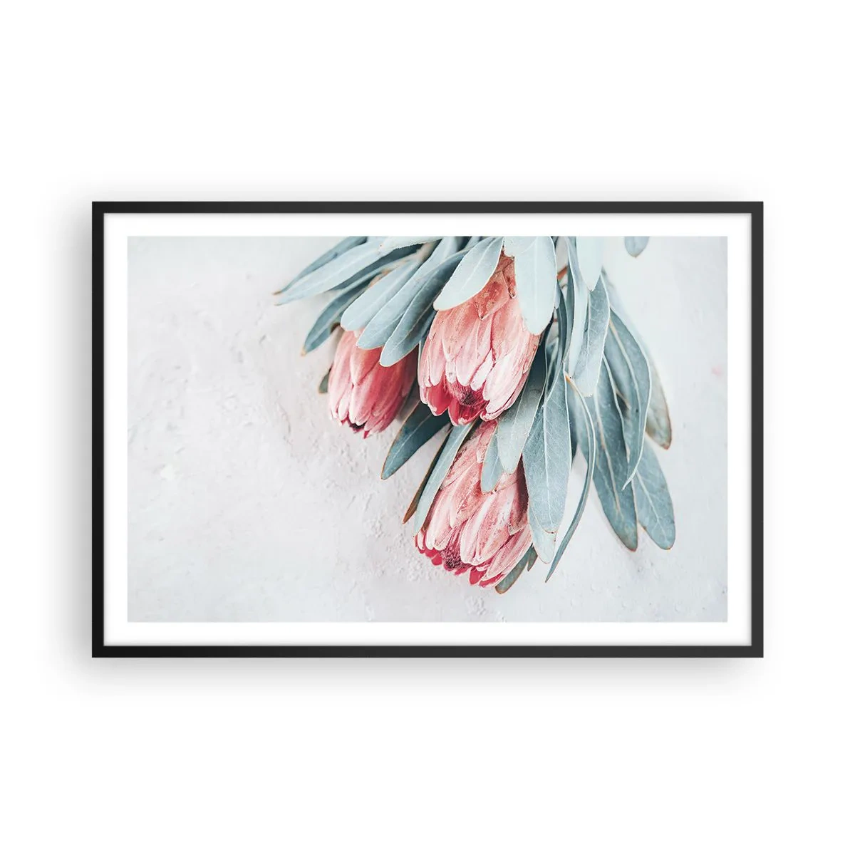 Plakat i sort ramme - Skammer sig over deres egen skønhed - 91x61 cm