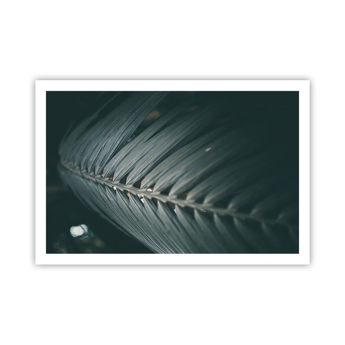 Plakat - Naturens præcision - 91x61 cm