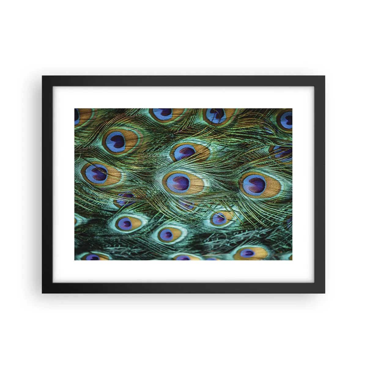 Plakat i sort ramme - En påfugls blik - 40x30 cm