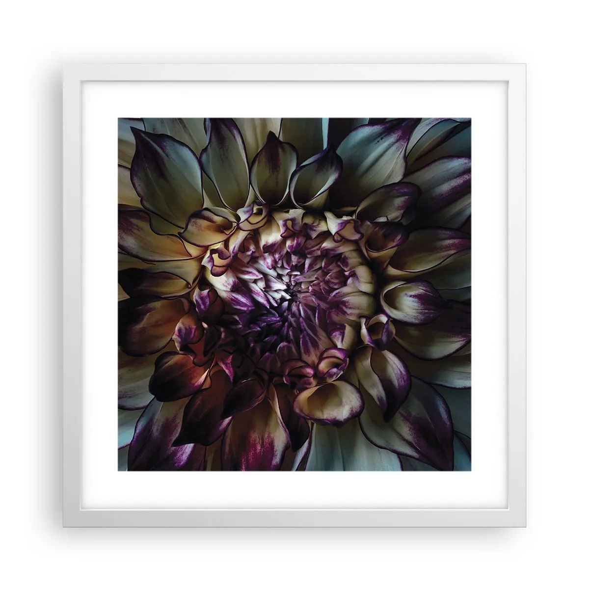 Plakat i hvid ramme - Ungdommens blomstring - 40x40 cm