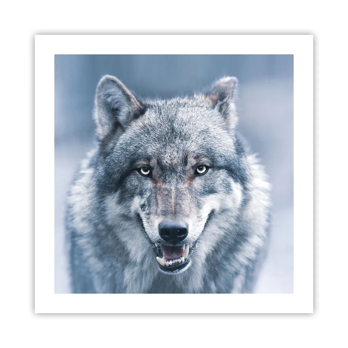 Plakat - Vil du tage udfordringen op? - 50x50 cm