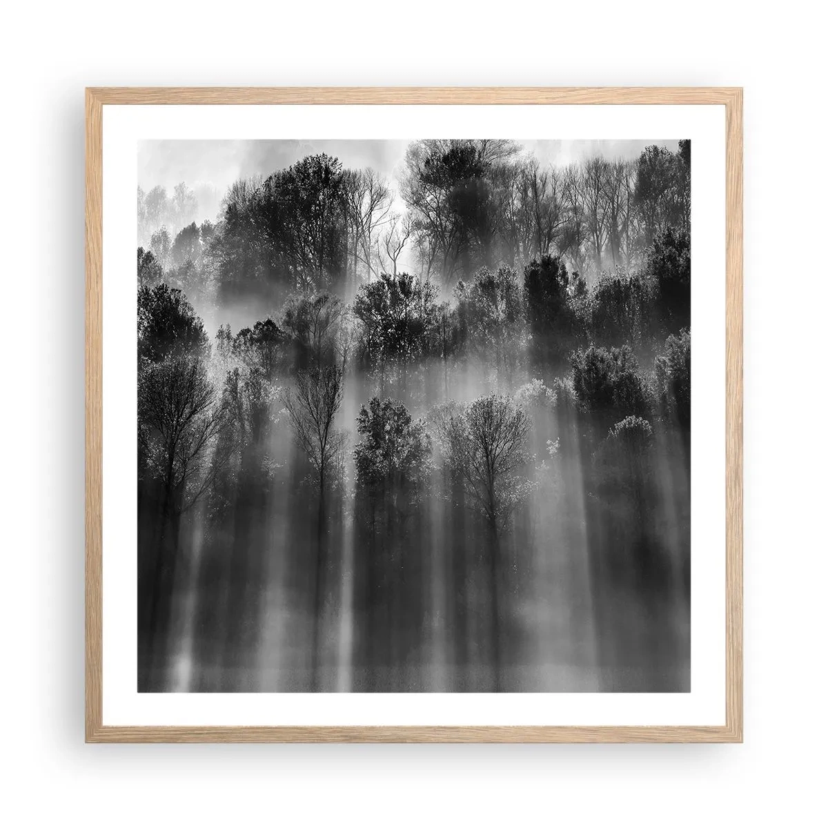 Plakat i ramme af lyst egetræ - I stråler af lys - 60x60 cm