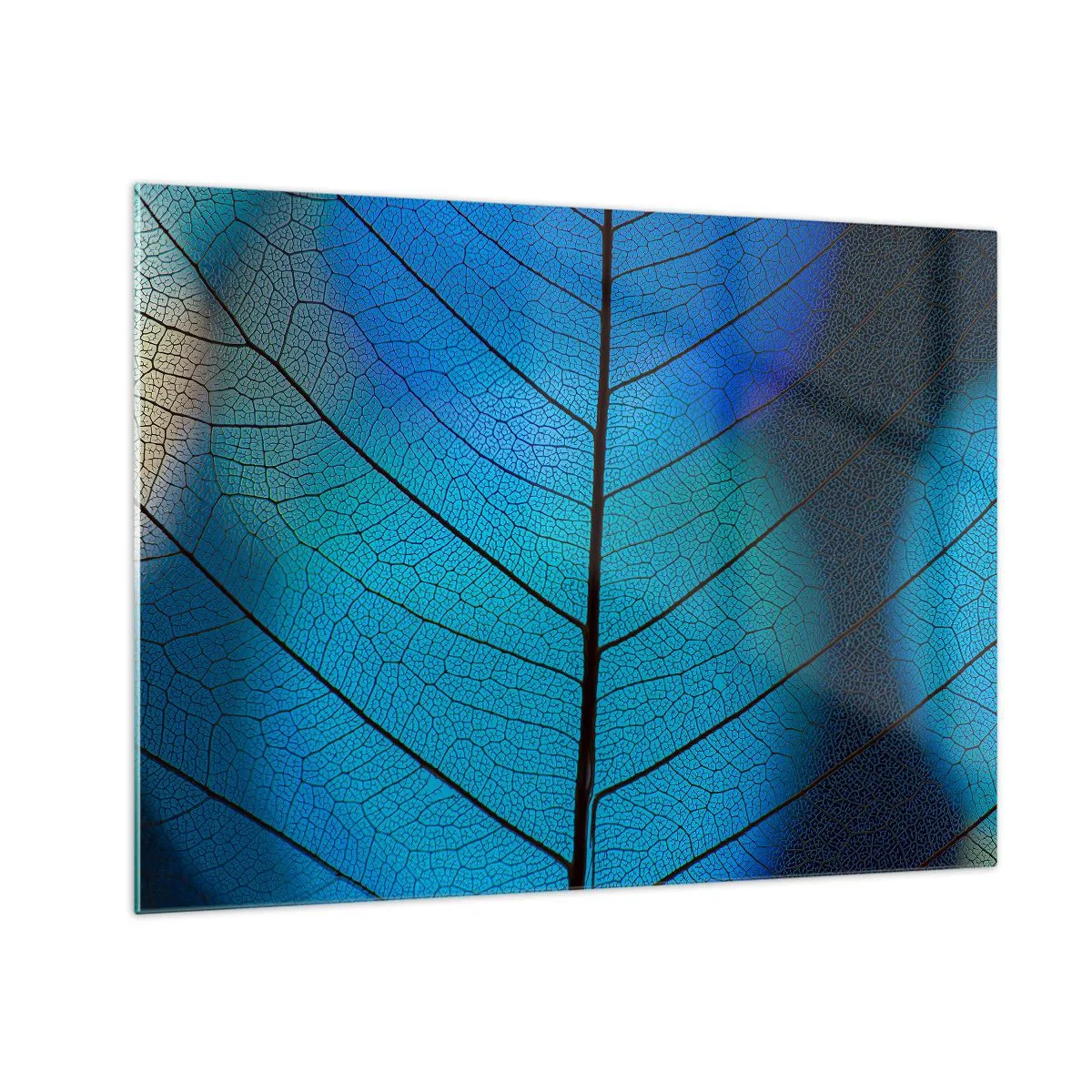 Billede på glas - Et nærbillede af et blåt blad, der viser årestrukturen. - 70x50cm - Indviklet konstruktion - Moderne vægdekoration til stue og soveværelse ARTTOR