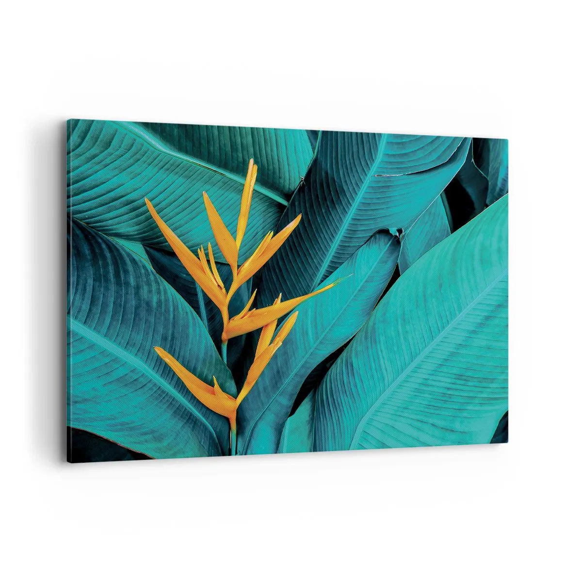 Lærredstryk - Billede på lærred - Edens blomst - 120x80 cm