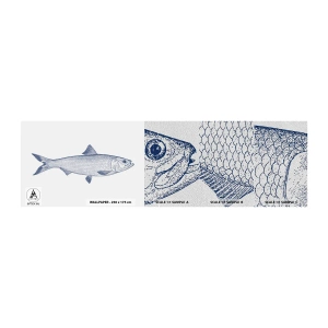Prøve Fototapet Premium Sand - Hilsner fra de nordlige have - Fisk, Havdyr, Seaside stil - 100x30 cm