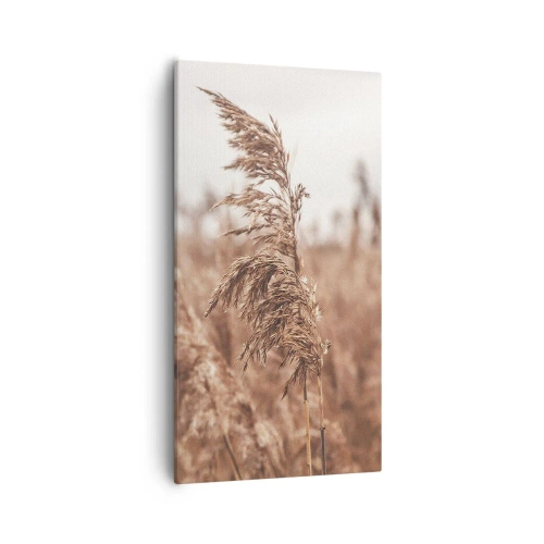 Lærredstryk - Billede på lærred - Efteråret er allerede på markerne - 55x100 cm