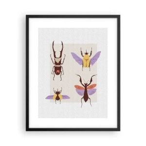 Plakat i sort ramme - Insekternes verden - 40x50 cm