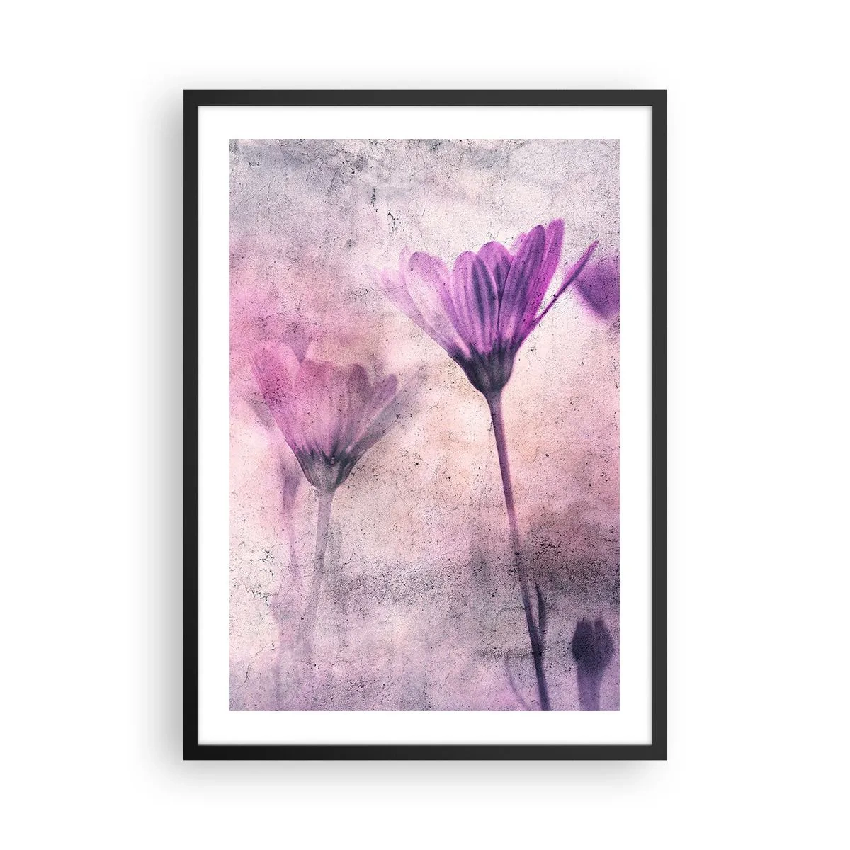 Plakat i sort ramme - Fine blomster i nuancer af lyserød og lilla på en lys baggrund - 50x70cm - En drøm af blomster - Moderne vægdekoration til stue og soveværelse ARTTOR