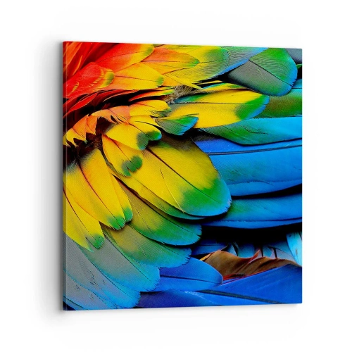 Lærredstryk - Billede på lærred - Paradisfugl - 70x70 cm