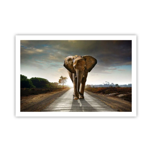 Plakat - Og slet ikke i en porcelænsbutik - 91x61 cm