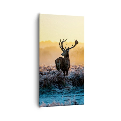 Lærredstryk - Billede på lærred - Kronet på sine godser - 65x120 cm