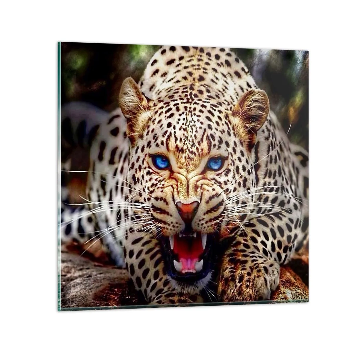 Billede på glas - Vrede skader ikke skønhed - 40x40 cm