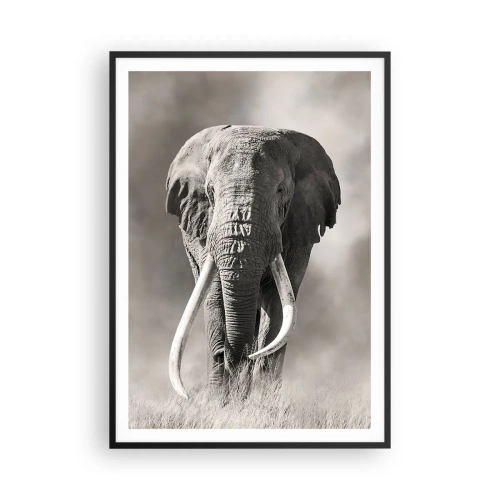 Plakat i sort ramme - Afrikansk patriark - 70x100 cm
