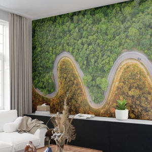 Fototapet Premium Sand - Grænser og gennembrud - Landskab, Bilvej, Skov - 300x210 cm