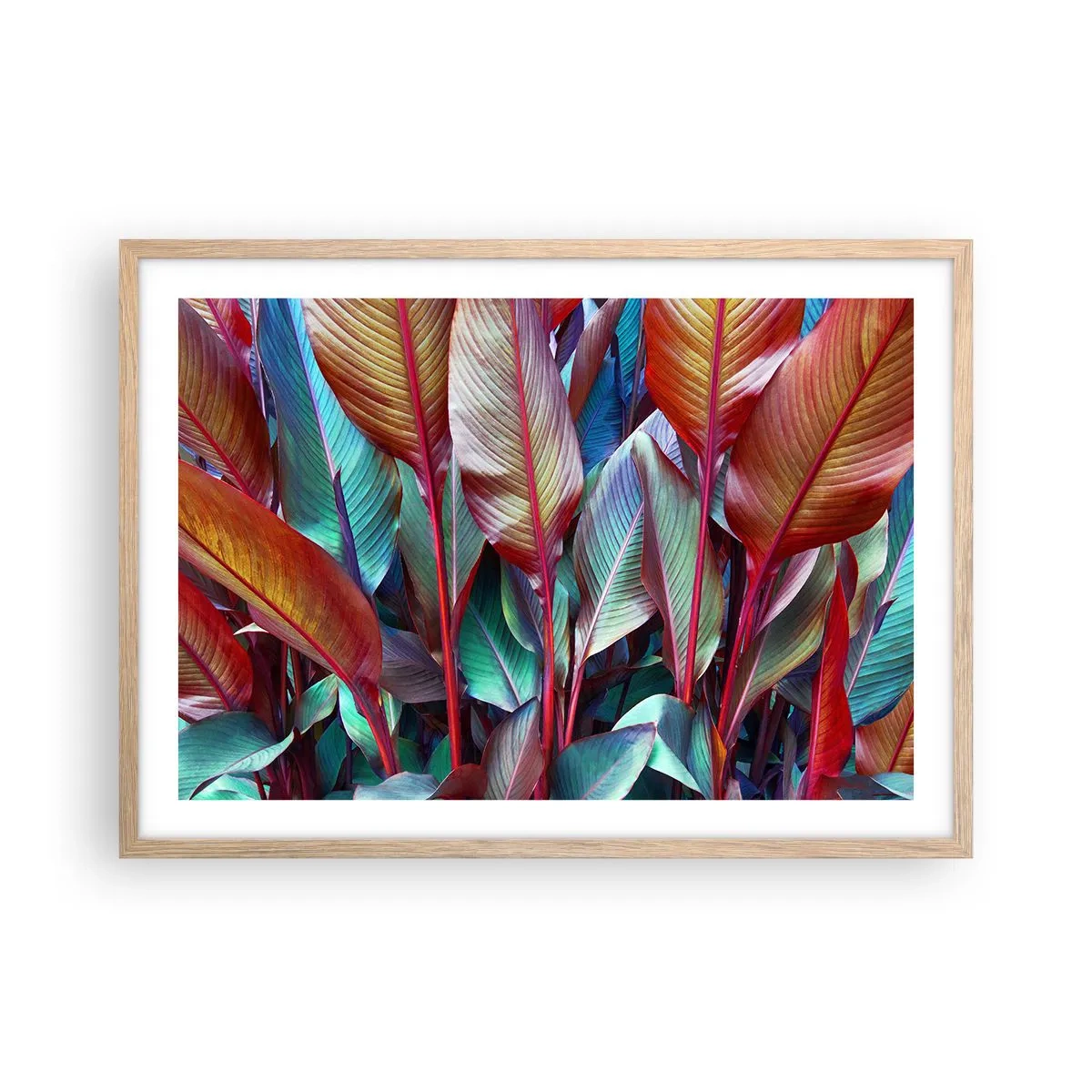 Plakat i ramme af lyst egetræ - Farverigt krat - 70x50 cm