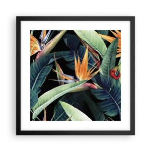 Plakat i sort ramme - Flammeblomster i troperne - 40x40 cm
