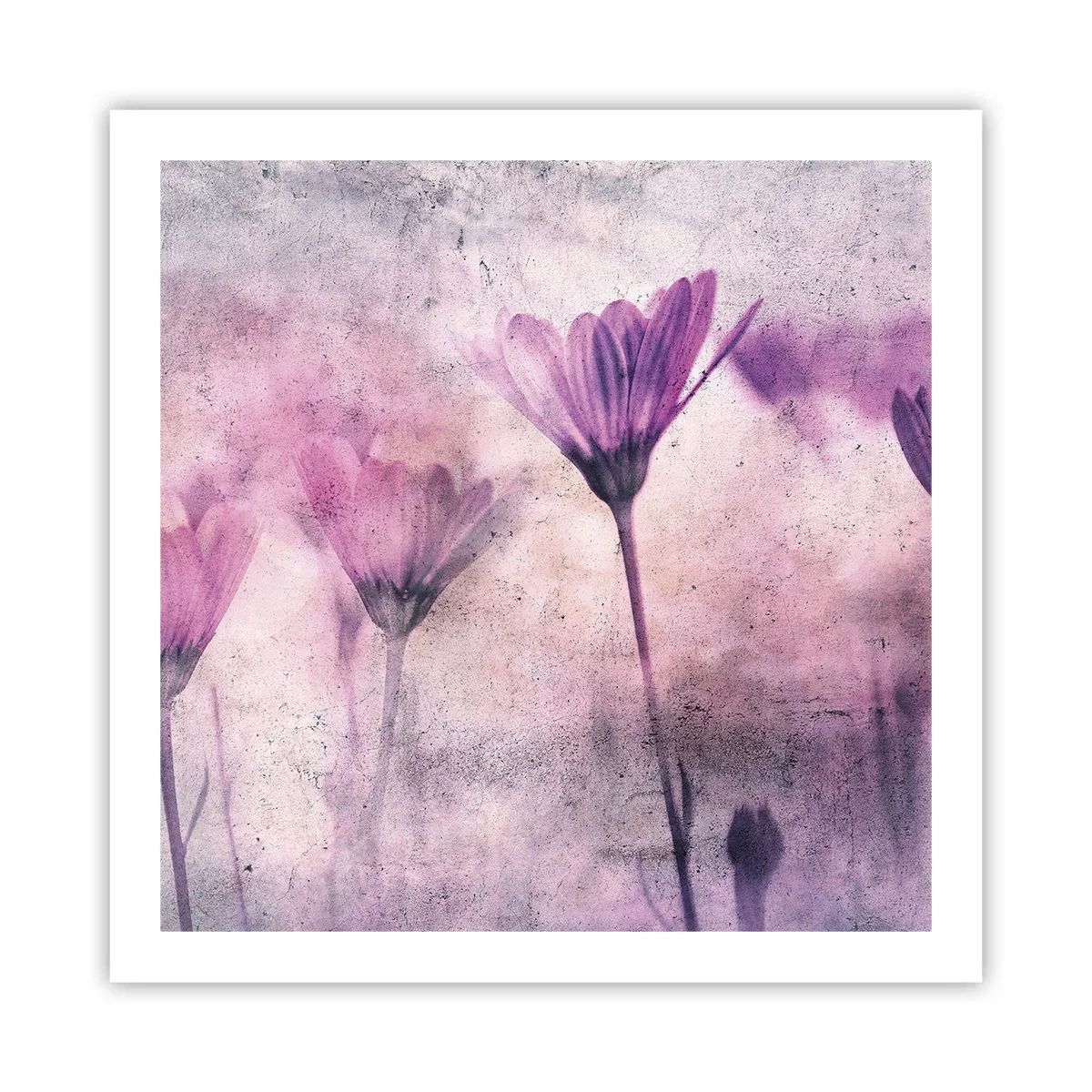 Plakat - En drøm af blomster - 60x60 cm