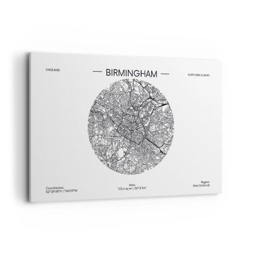 Lærredstryk - Billede på lærred - Birminghams anatomi - 120x80 cm