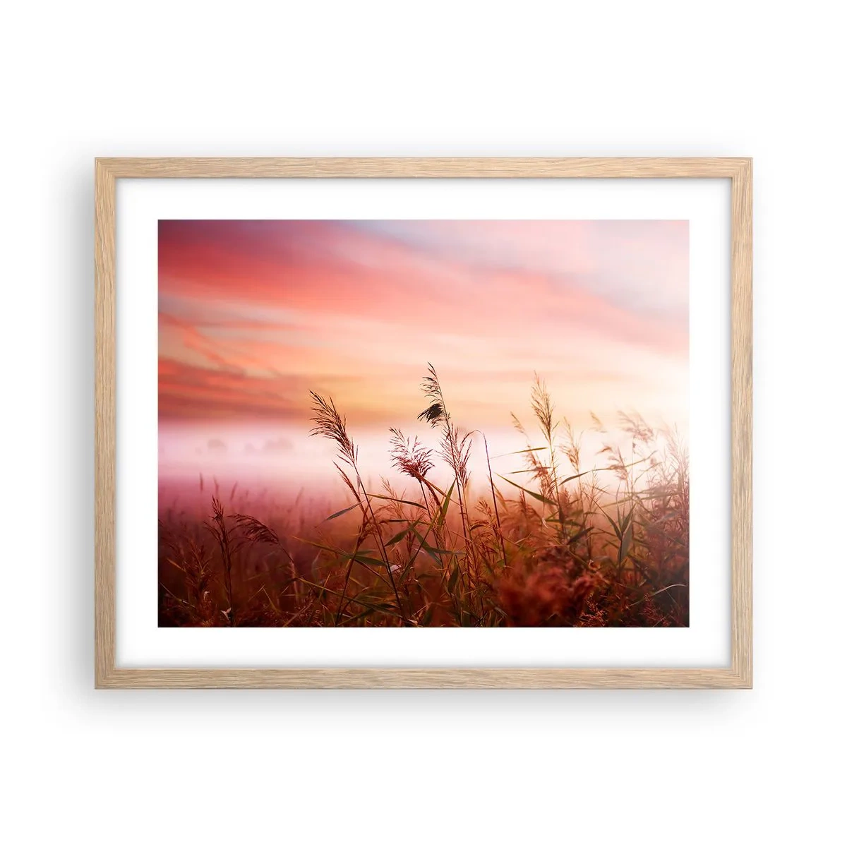 Plakat i ramme af lyst egetræ - Drager, blæsere, vind - 50x40 cm