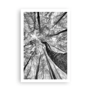 Plakat - Kapløb mod lyset - 61x91 cm