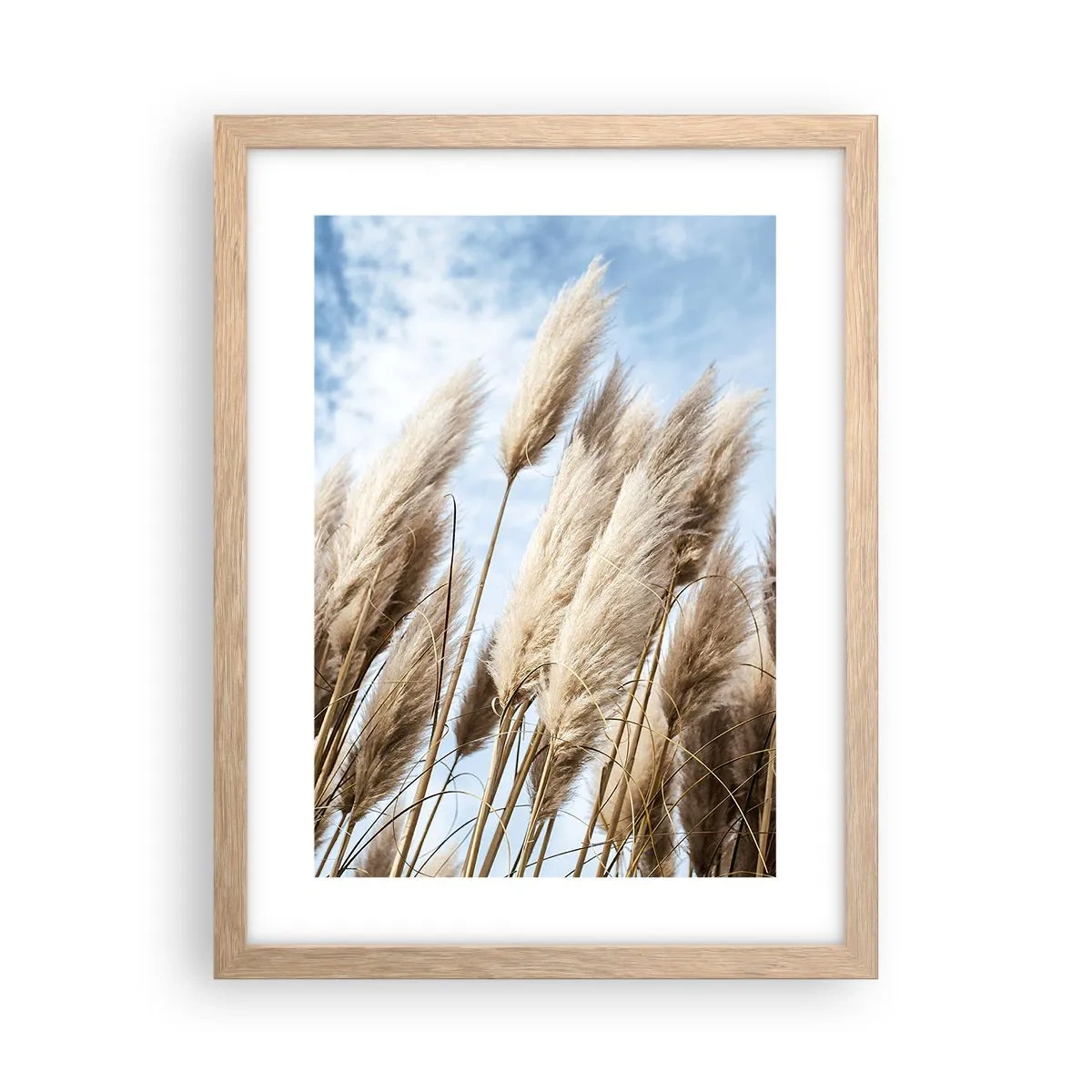 Plakat i ramme af lyst egetræ - Solrig og blæsende kærtegn - 30x40 cm