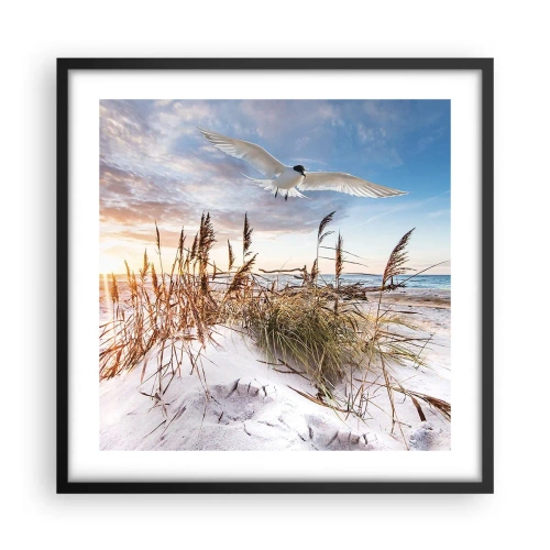 Plakat i sort ramme - Vind fra havet - 50x50 cm