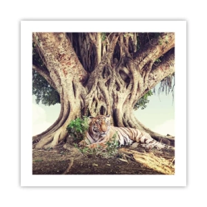 Plakat - Udsigt fra Første Mosebog - 50x50 cm