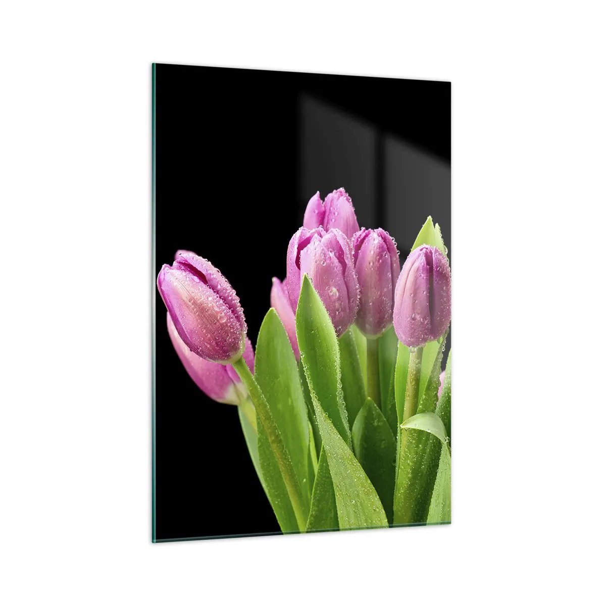 Billede på glas - Forårets lilla glæde - 50x70 cm