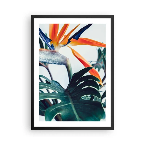 Plakat i sort ramme - Nærbillede af en strelitzia-blomst omgivet af grønne blade - 50x70cm - Fuglebur - Moderne vægdekoration til stue og soveværelse ARTTOR