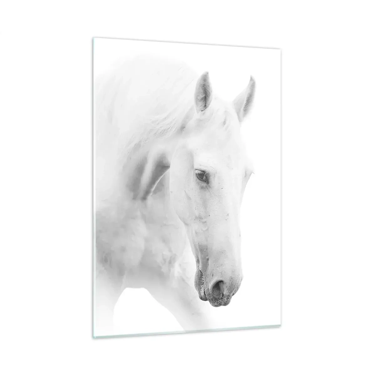 Billede på glas - Er dette venskab...? - 50x70 cm