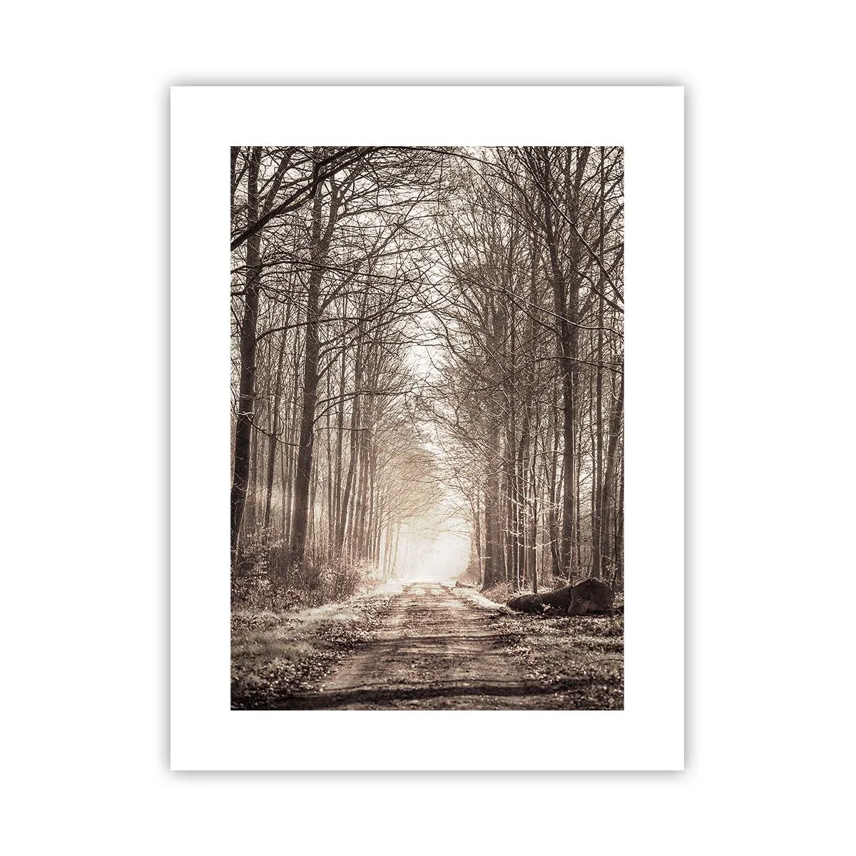 Plakat - Skovkatedralen - 30x40 cm