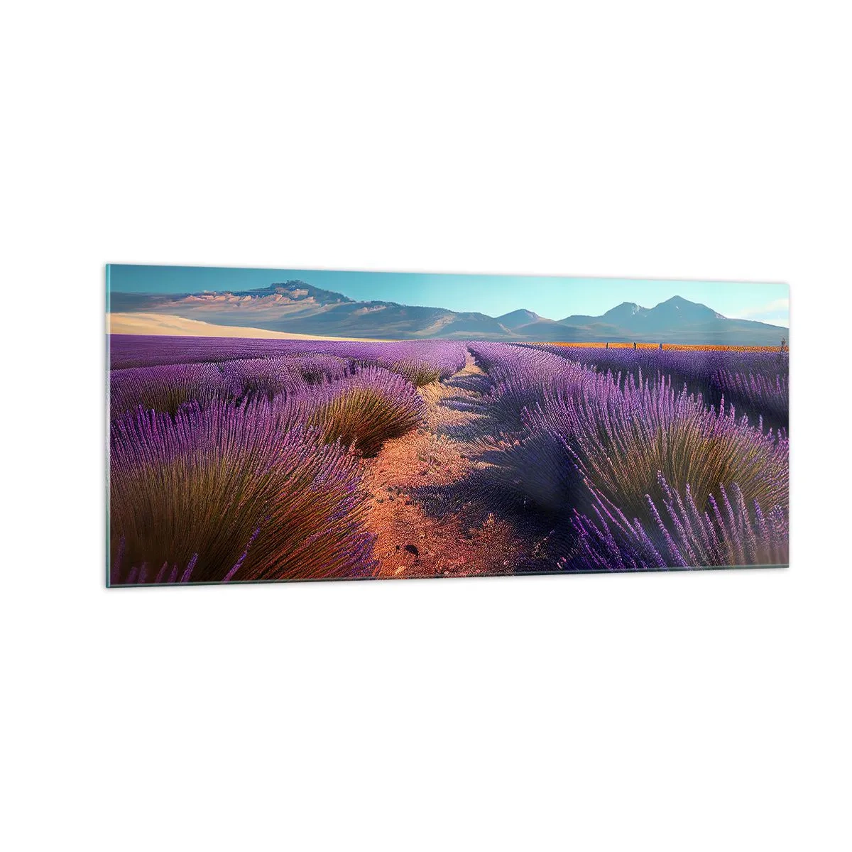 Billede på glas - Duftende marker - 100x40 cm