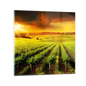 Billede på glas - Under den australske sol - 70x70 cm