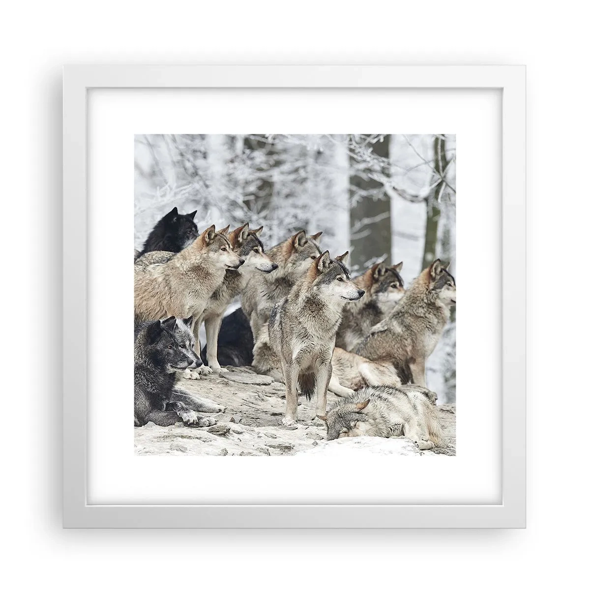 Plakat i hvid ramme - Familie og venner - 30x30 cm