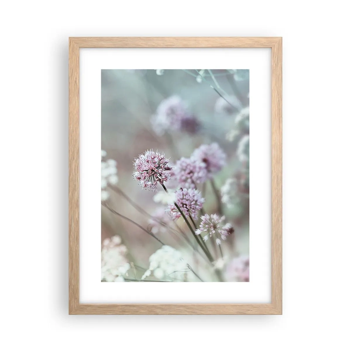 Plakat i ramme af lyst egetræ - Søde filigranurter - 30x40 cm