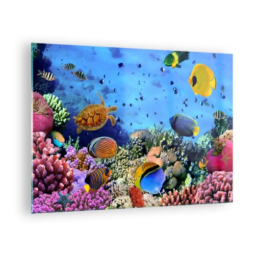 Billede på glas - Farverige fisk og en havskildpadde mod et koralrev - 70x50cm - Og hvad ved vi om livet... - Moderne vægdekoration til stue og soveværelse ARTTOR