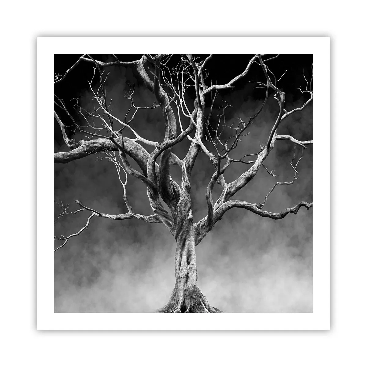 Plakat - Primær og hellig - 60x60 cm