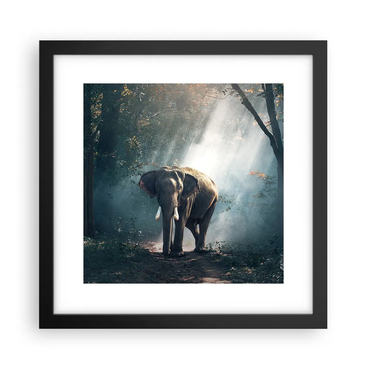 Plakat i sort ramme - En fredelig gåtur - 30x30 cm