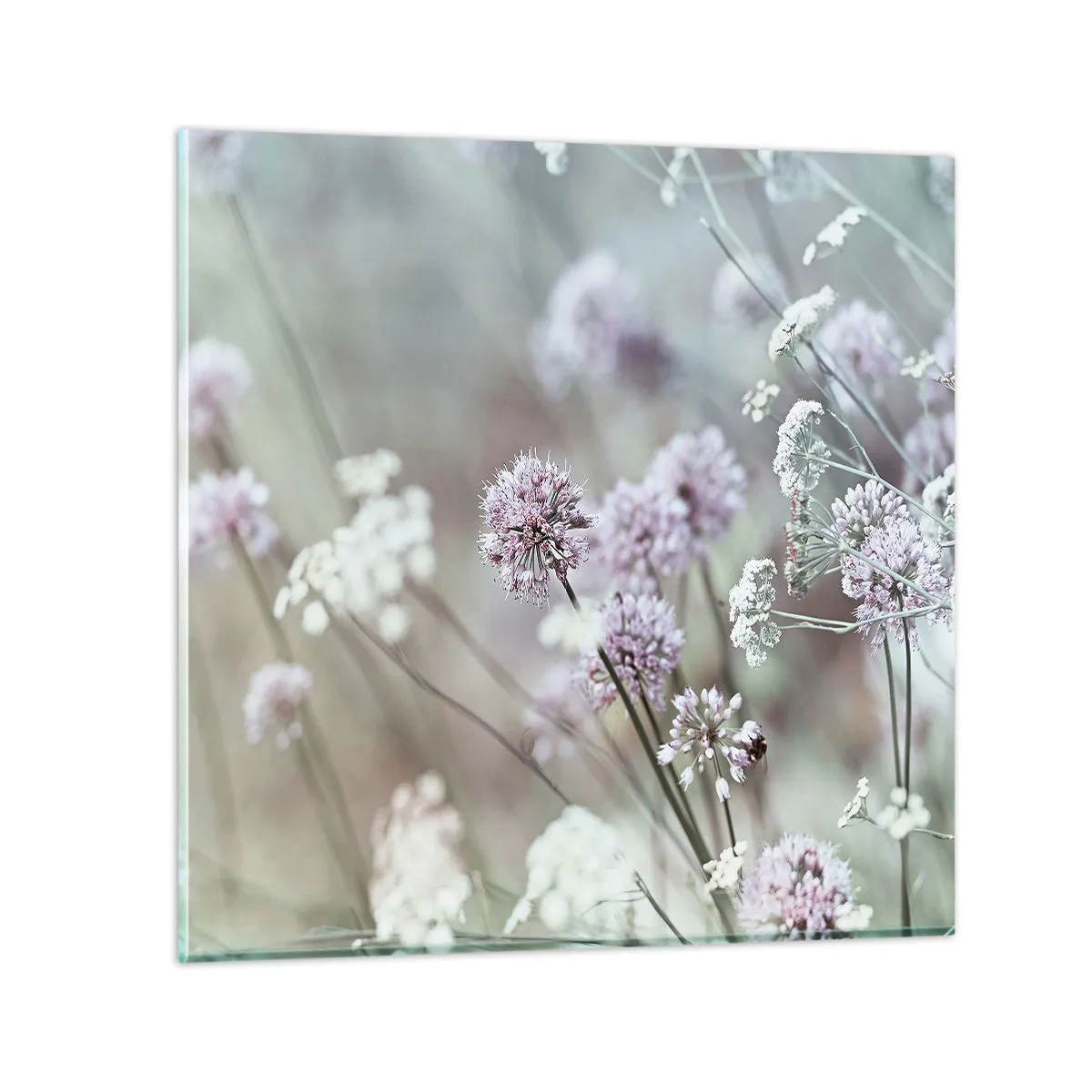 Billede på glas - Søde filigranurter - 60x60 cm