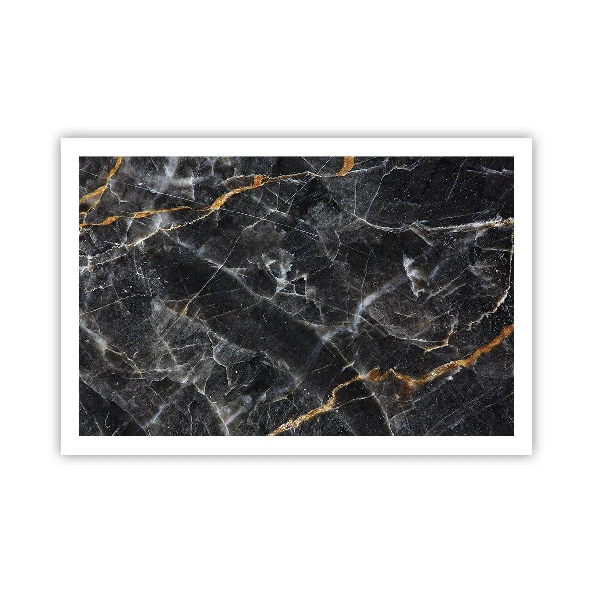 Plakat - En stens indre liv - 91x61 cm