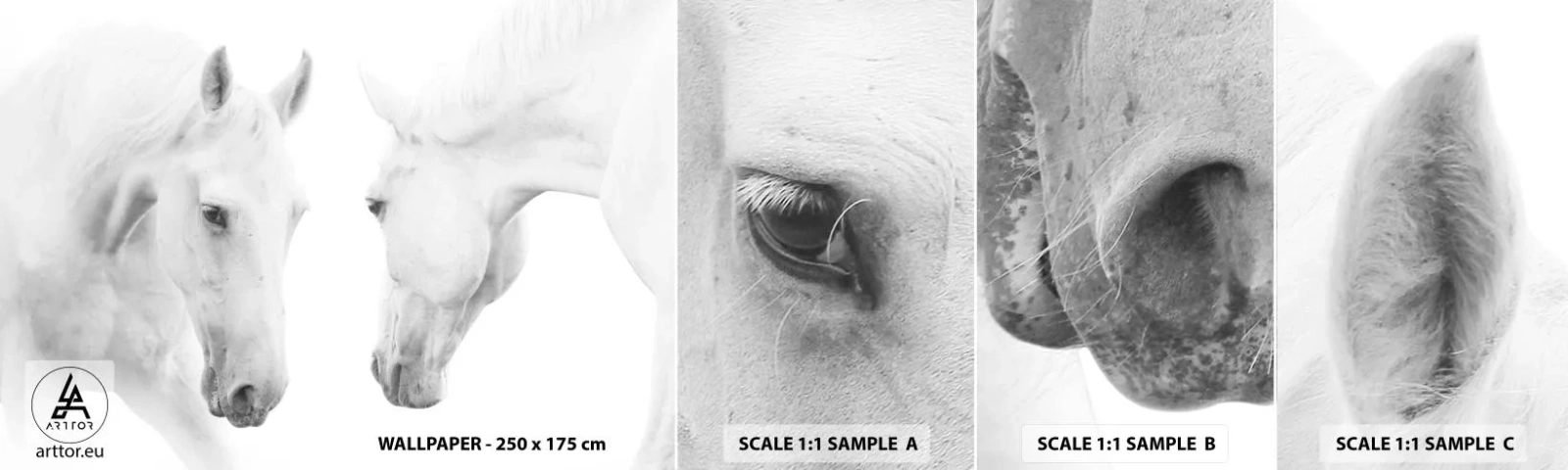 Prøve Fototapet Selvklæbende Deluxe Sticker - Er dette venskab...? - Heste, Natur, Dyr - 100x30 cm