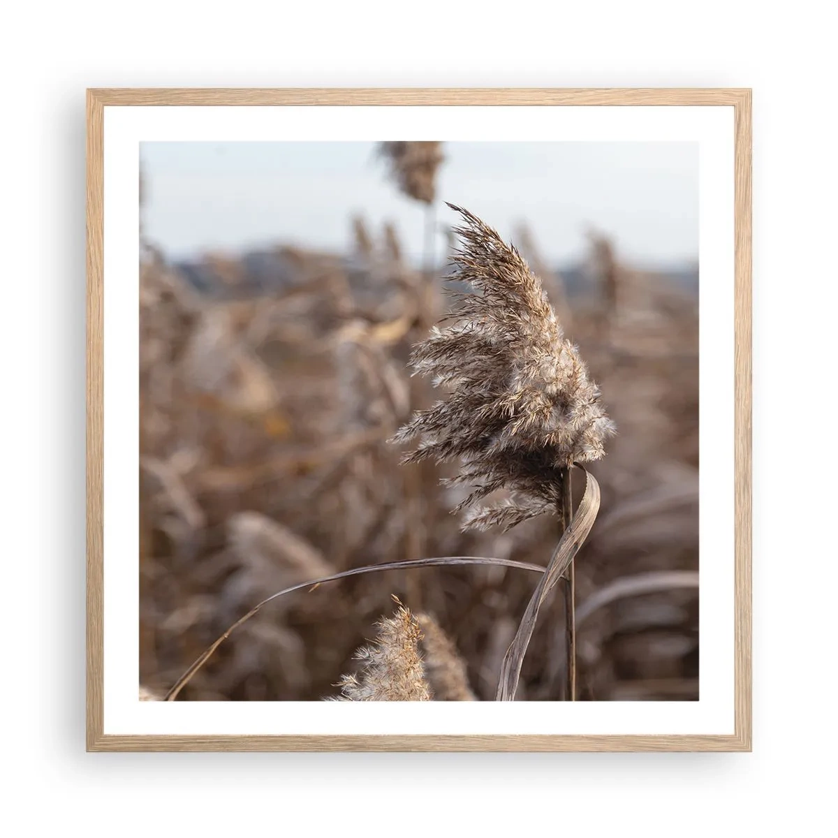 Plakat i ramme af lyst egetræ - Tid til at flyve væk med vinden - 60x60 cm