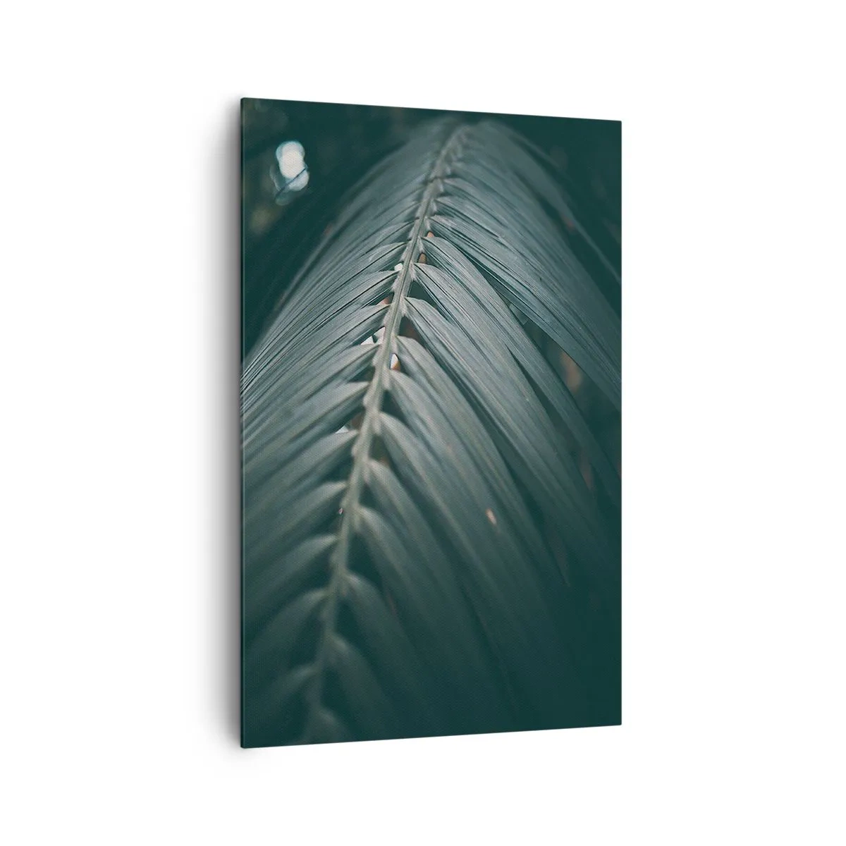 Lærredstryk - Billede på lærred - Naturens præcision - 80x120 cm