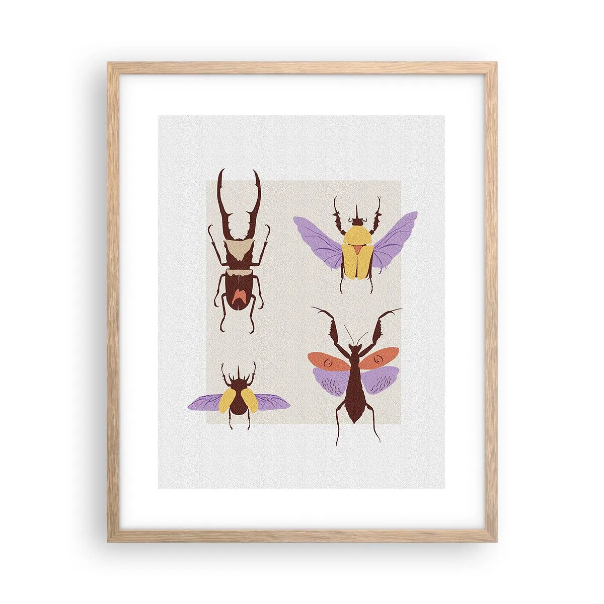 Plakat i ramme af lyst egetræ - Insekternes verden - 40x50 cm