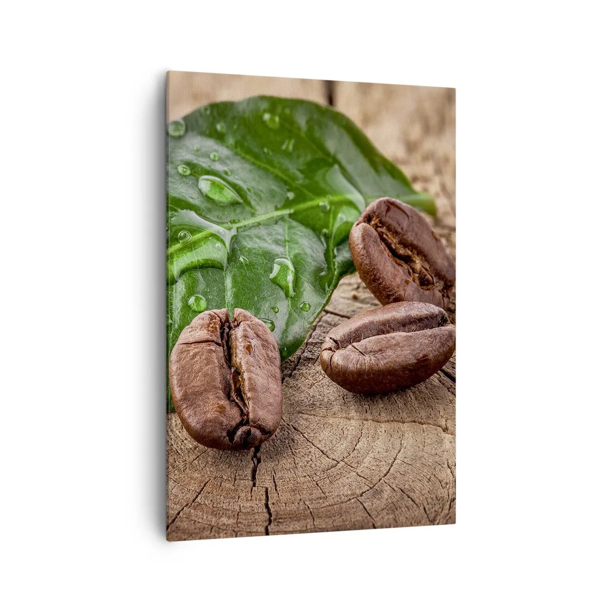 Lærredstryk - Billede på lærred - Den sandeste og sorteste - 70x100 cm