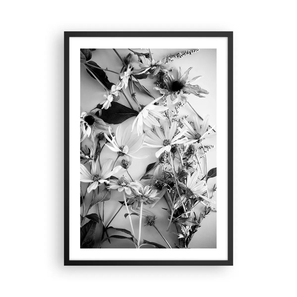 Plakat i sort ramme - Sorte og hvide blomster arrangeret i et kunstnerisk arrangement - 50x70cm - Blomster uden buket - Moderne vægdekoration til stue og soveværelse ARTTOR