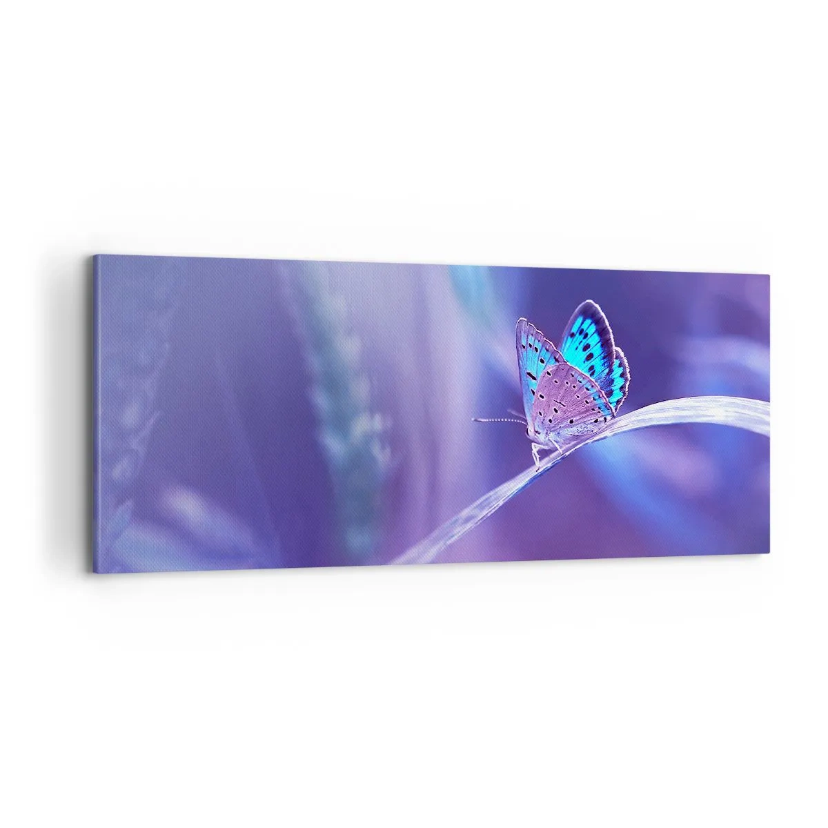 Lærredstryk - Billede på lærred - Naturens juvel - 100x40 cm