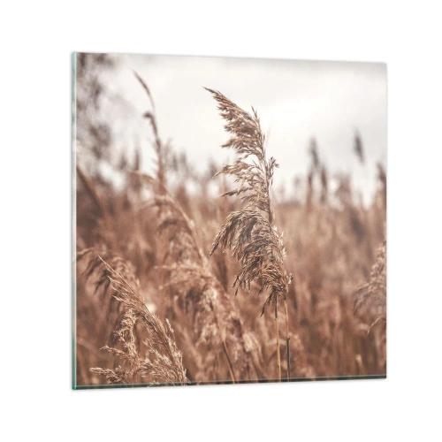 Billede på glas - Efteråret er allerede på markerne - 40x40 cm