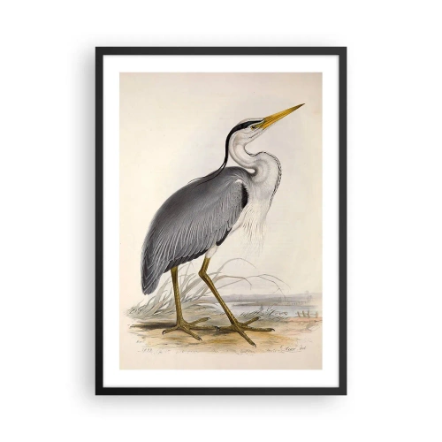 Plakat i sort ramme - Hejrens nåde - 50x70cm - Fiskehejre-charme - Moderne vægdekoration til stue og soveværelse ARTTOR
